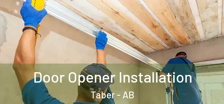 Door Opener Installation Taber - AB