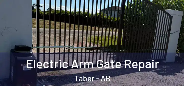  Electric Arm Gate Repair Taber - AB