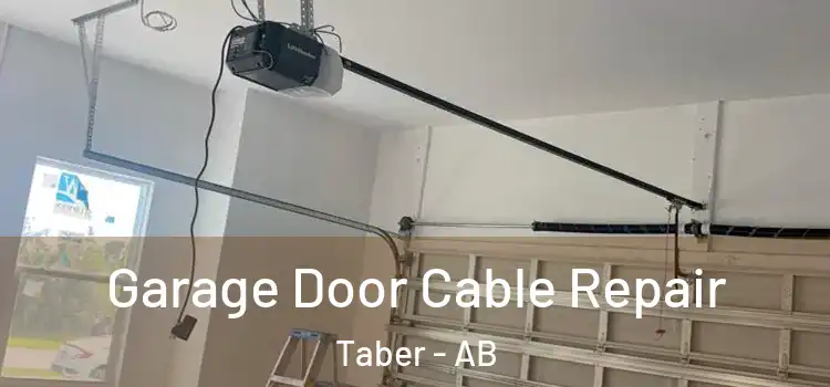  Garage Door Cable Repair Taber - AB