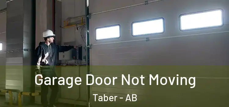  Garage Door Not Moving Taber - AB