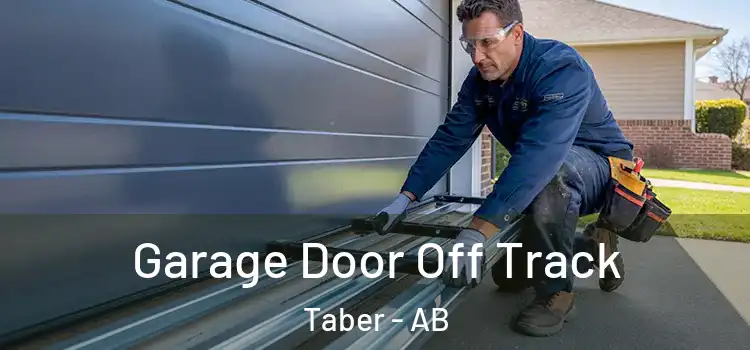  Garage Door Off Track Taber - AB
