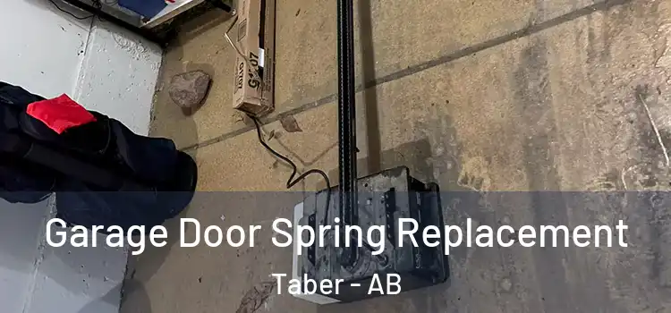 Garage Door Spring Replacement Taber - AB