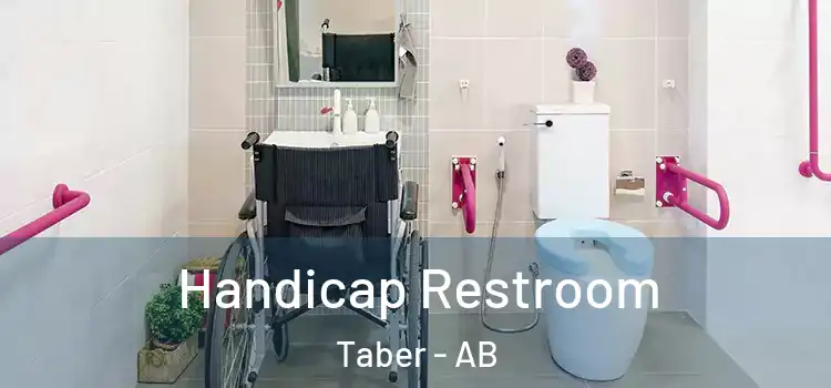 Handicap Restroom Taber - AB