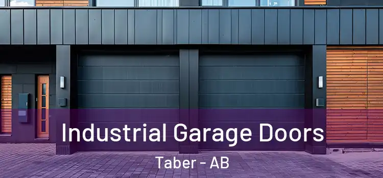  Industrial Garage Doors Taber - AB