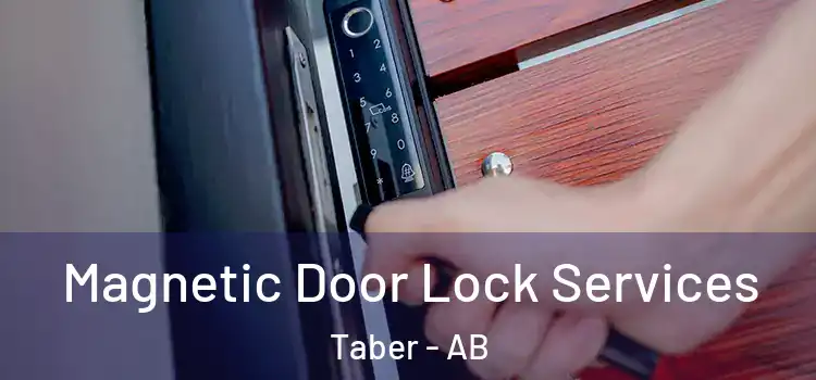  Magnetic Door Lock Services Taber - AB