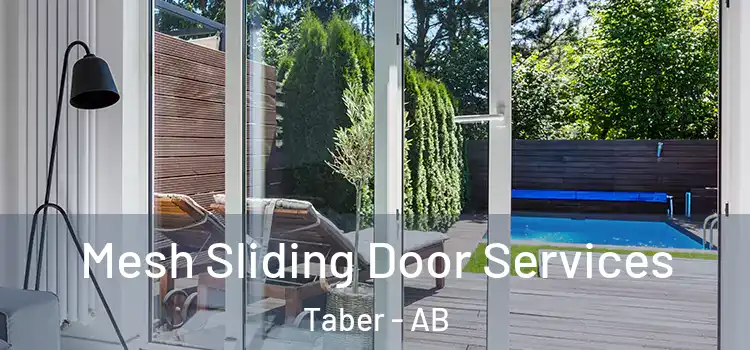 Mesh Sliding Door Services Taber - AB